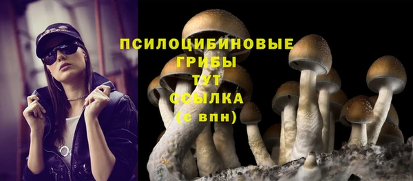 а пвп мука Горно-Алтайск