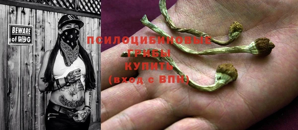 мдма Горняк
