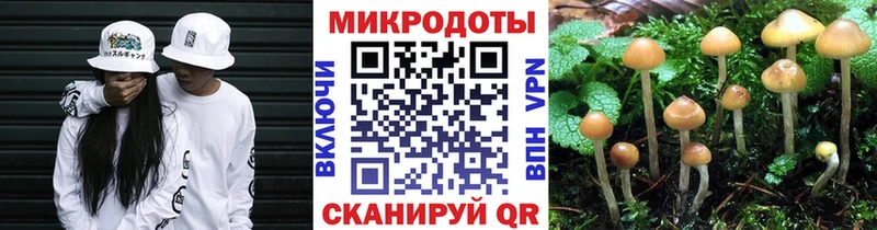 наркота  Железногорск  darknet официальный сайт  Галлюциногенные грибы GOLDEN TEACHER 